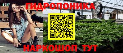 стафф Аргун