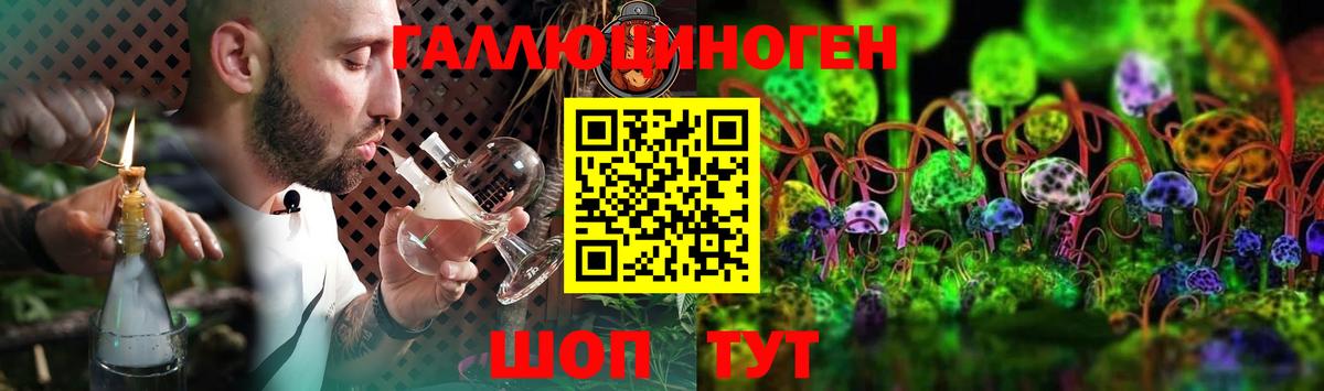 Псилоцибиновые грибы Psilocybe Ачхой-Мартан